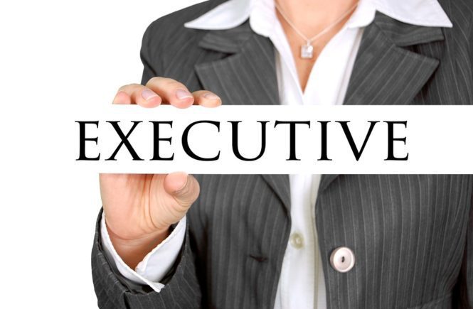 Executive Leadership, Empowerment, Business Plans, Career Development, Clients, Partnerships